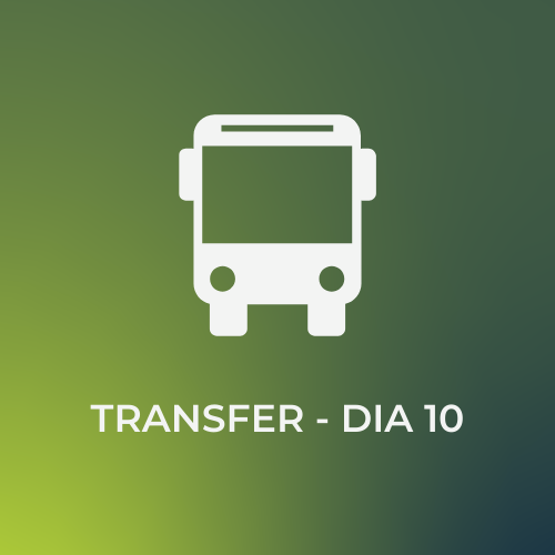 Transfer - Dia 10