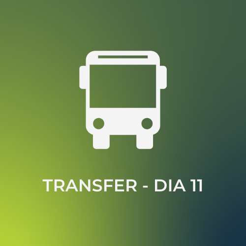 Transfer - Dia 11
